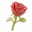 rose, love, romance, valentine, present
