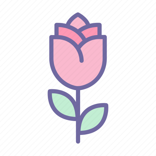 Flower, rose, floral, plant, love, gift icon - Download on Iconfinder