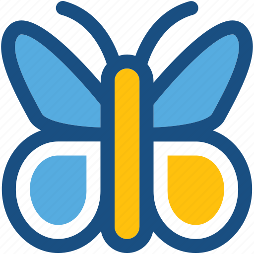Butterfly, glider butterfly, insect, lepidoptera, moth icon - Download on Iconfinder