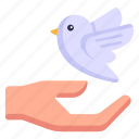 peace, peace bird, dove, dove care, hand