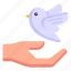 peace, peace bird, dove, dove care, hand 