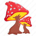 mushrooms, fungus, forest