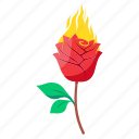 fire, flower, floral, candle, nature, burn