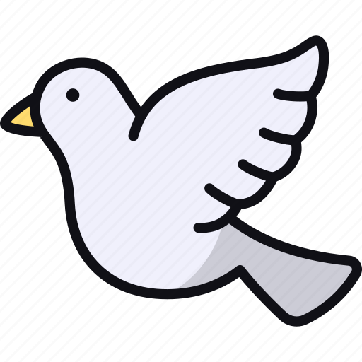Dove, bird, animal, flying, ornithology icon - Download on Iconfinder