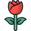 rose, flower, botanical, plant, floral, petals 