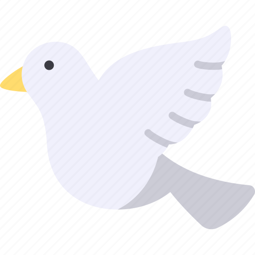 Dove, bird, animal, flying, ornithology icon - Download on Iconfinder