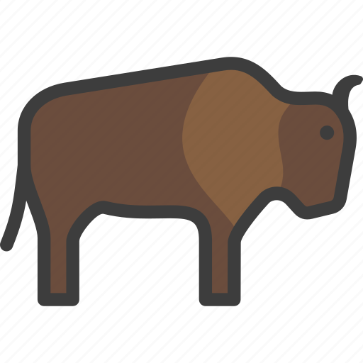 Bison, buffalo, bull, yak icon - Download on Iconfinder