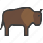 bison, buffalo, bull, yak 
