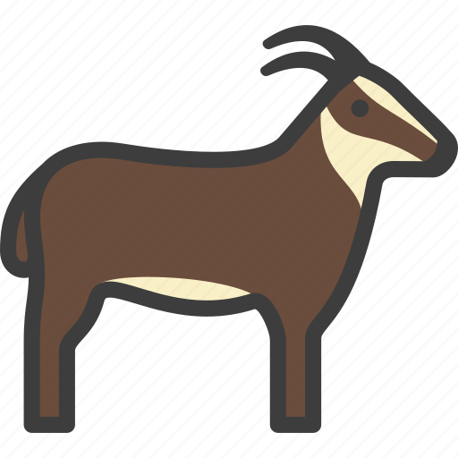 Billy goat, goat, herbivore icon - Download on Iconfinder