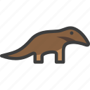 ant bear, anteater, silky anteater