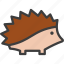animal, hedgehog, porcupine, spike 