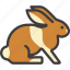 bunny, hare, rabbit 