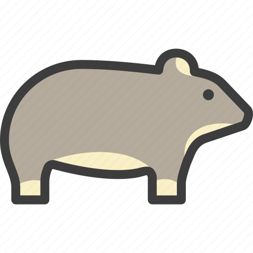 Animal, chinchilla, rat, rodent icon - Download on Iconfinder