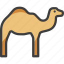 arabian, camel, desert, dromedary