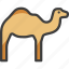 arabian, camel, desert, dromedary 