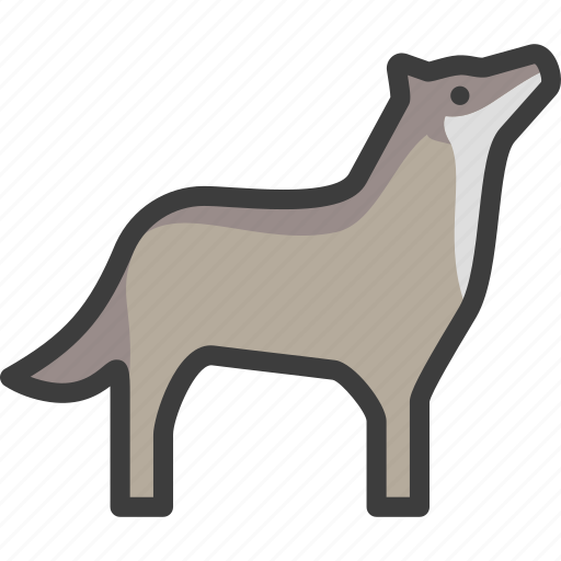 Coyote, gray, timber, wolf icon - Download on Iconfinder