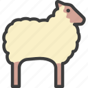 animal, ewe, farm, sheep