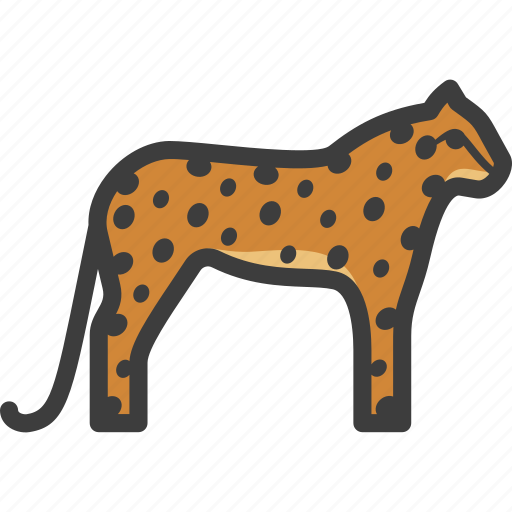 Cheetah, feline, guepard, leopard icon - Download on Iconfinder