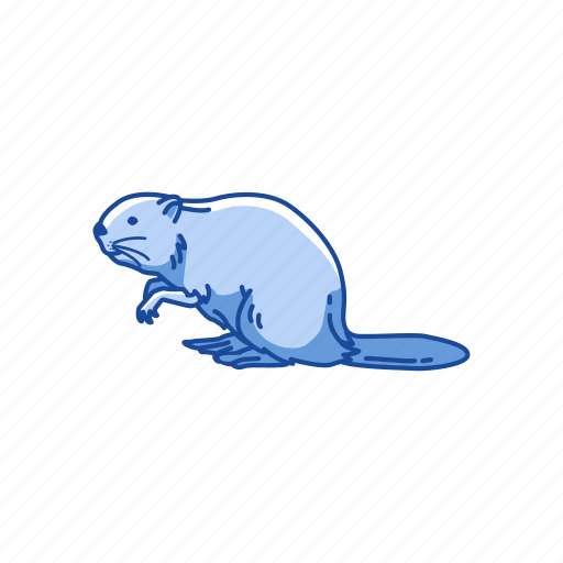 Animal, beaver, mammal, mountain beaver, rodent, semiaquatic rodent icon - Download on Iconfinder