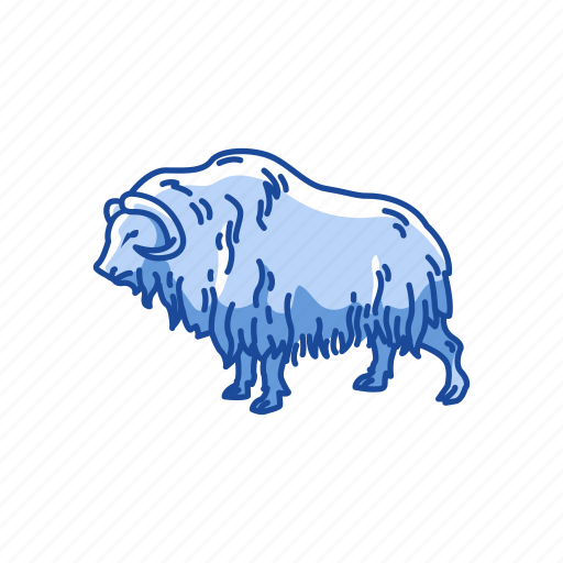 Animal, mammal, musk ox, muskox, ovis, sheep, sheep-ox icon - Download on Iconfinder