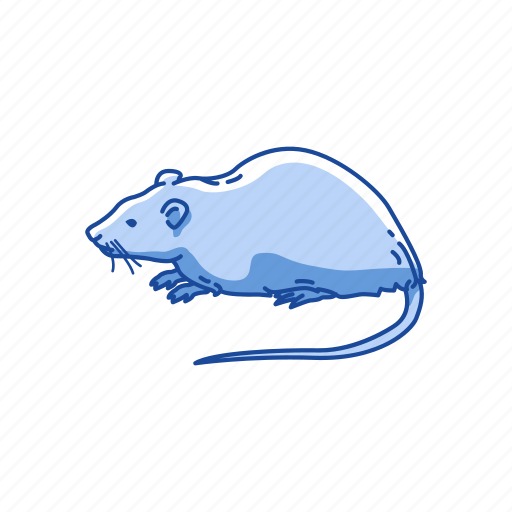 Animal, brown rat, lab rat, mammal, mouse, rat, rodent icon - Download on Iconfinder