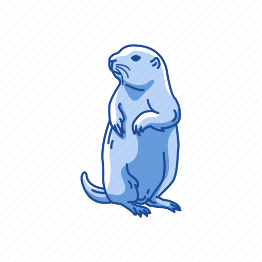 Animal, dog mouse, mammal, mouse, prairie dog, squirrel icon - Download on Iconfinder