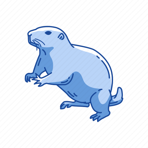 Animal, dog mouse, mammal, mouse, prairie dog, squirrel icon - Download on Iconfinder
