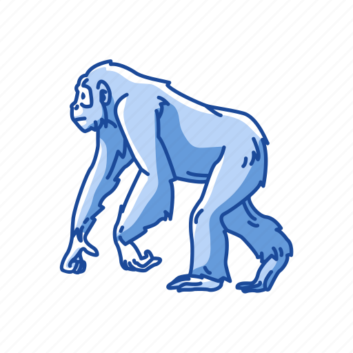 Animals, ape, bonobo, chimpanzee, chimps, mammal icon - Download on Iconfinder