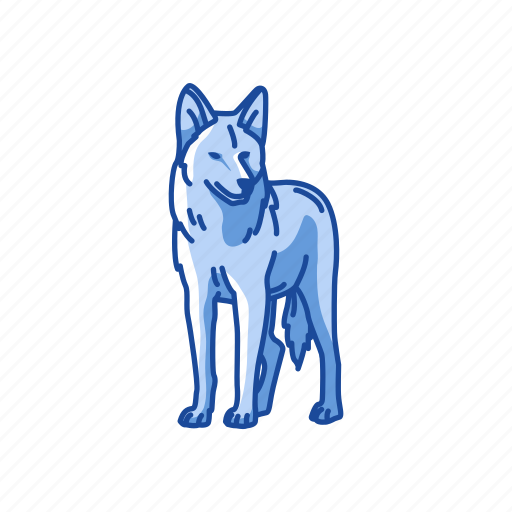 Animal, brush wolf, canine, gray wolf, male coyote, mammal, wolf icon - Download on Iconfinder