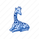 animals, camelopard, giraffa, giraffe, mammal, tallest animal
