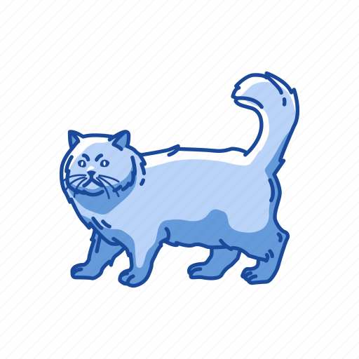 Animals, cat, feline, kitten, mammal, persian cat, shirazi cat icon - Download on Iconfinder