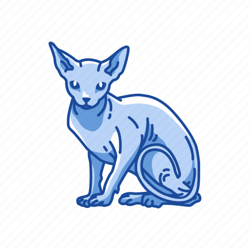 Animal, cat, domestic cat, feline, kitten, mammal, sphynx icon - Download on Iconfinder