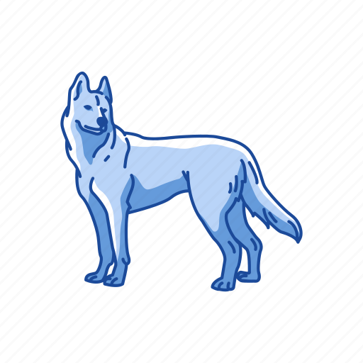Animal, canine, dog, husky, mammal, pet, siberian husky icon - Download on Iconfinder
