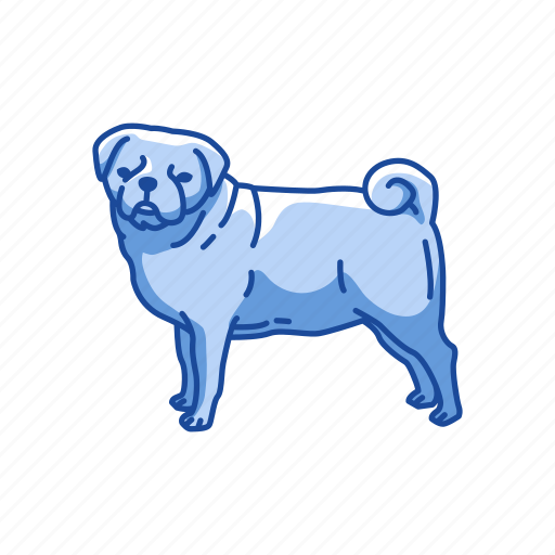 Animals, canine, dog, mammal, pet, pug, terrier icon - Download on Iconfinder