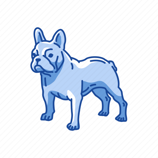 Animals, bostos terrier, dog, mammal, pet, puppy icon - Download on Iconfinder