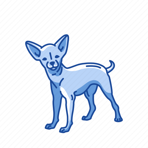 Animals, chihuahua, dog, mammal, pupy, teacup dog icon - Download on Iconfinder