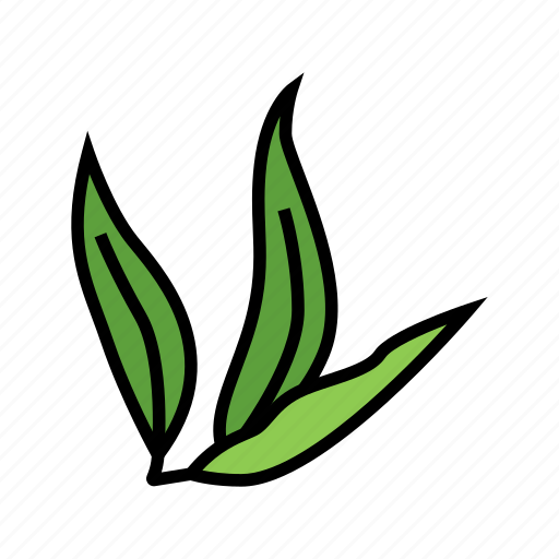 Leaf, plant, mango, fruit, fresh, yellow icon - Download on Iconfinder