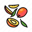 mango, ripe, cut, leaf, red, fruit