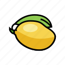 mango, yellow, leaf, fruit, fresh, tropical