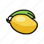 mango, yellow, leaf, fruit, fresh, tropical 