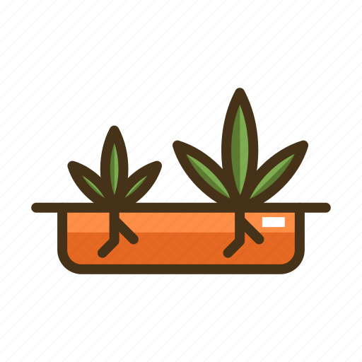 Germination, marijuana, weeds icon - Download on Iconfinder