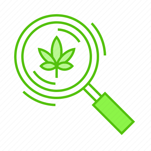 Cannabis, development, marijuana, research, science icon - Download on Iconfinder