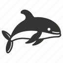 beluga whale, cetacean, white whale, arctic, aquatic, vocalization