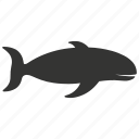 sperm whales, cetacean, toothed whale, deep-diving, aquatic, spermaceti