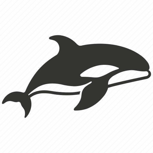 Killer whale, cetacean, apex predator, aquatic, orcinus orca icon - Download on Iconfinder