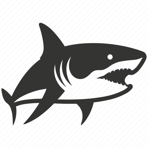 White shark, elasmobranch, apex predator, aquatic, great white shark icon - Download on Iconfinder