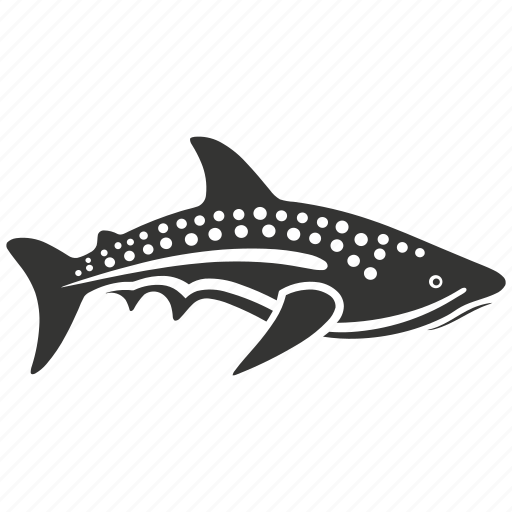 Whale shark, elasmobranch, filter feeder, giant, aquatic, plankton icon - Download on Iconfinder