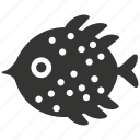 pufferfish, marine fish, inflatable, poisonous, delicacy, fugu