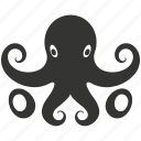 octopus, cephalopod, marine, tentacles, predatory, intelligent