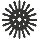 sea urchin, echinoderm, marine, spiny, radial symmetry, benthic